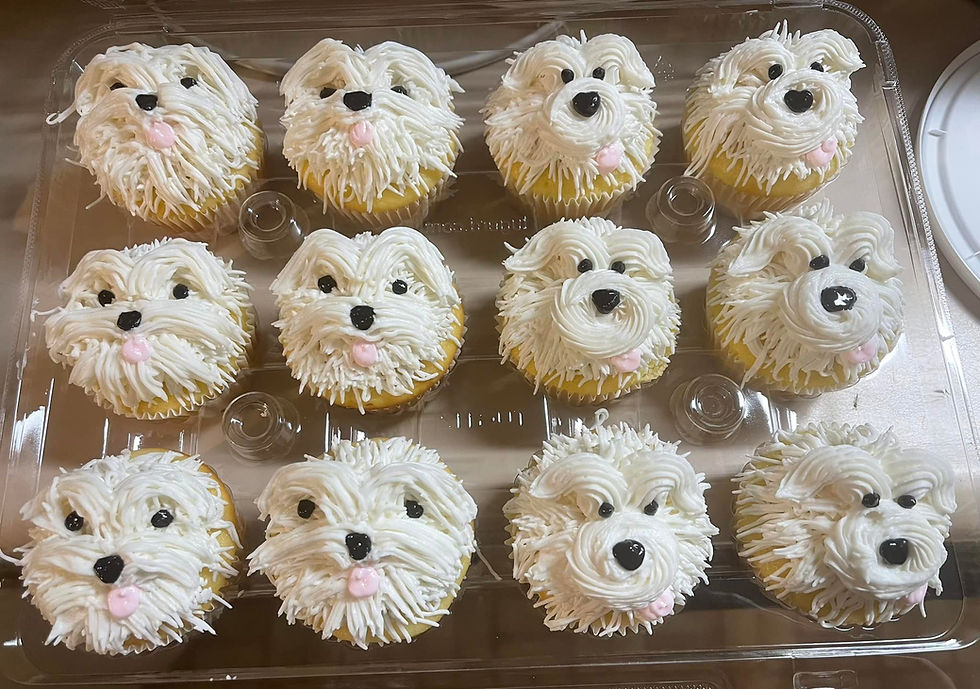 280941440_10160055540614328_5529870510283285139_n