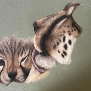 WIP - Cheetah Portrait