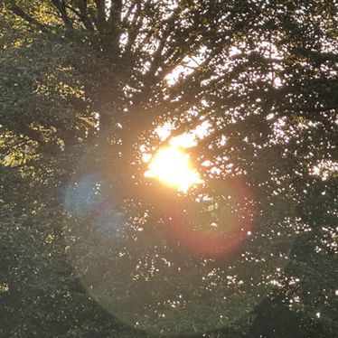 The Beauty of Unusual Compliments