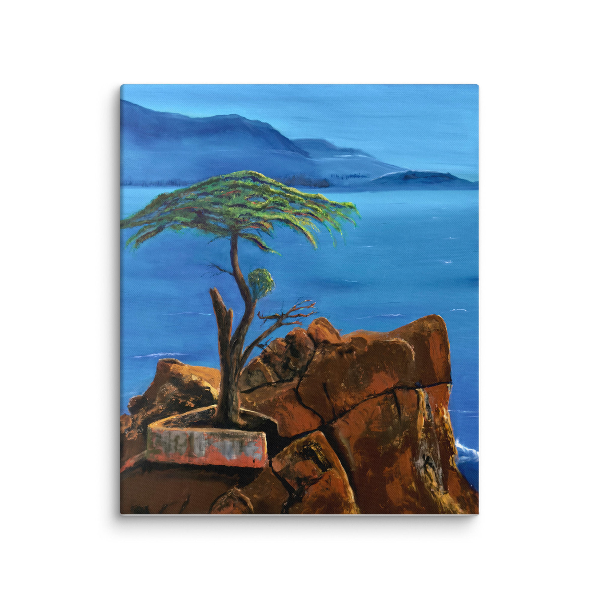 Lone Monterey Cyprus. 20x24" on stretched canvas