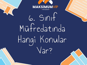 6.Sınıf Müfredatında Hangi Konular Var? 