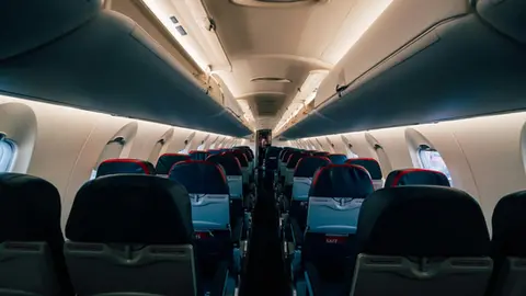 Uçak ve özel jetler ilaçlama hizmetinde tahta kurusuna karşı profesyonel uygulama