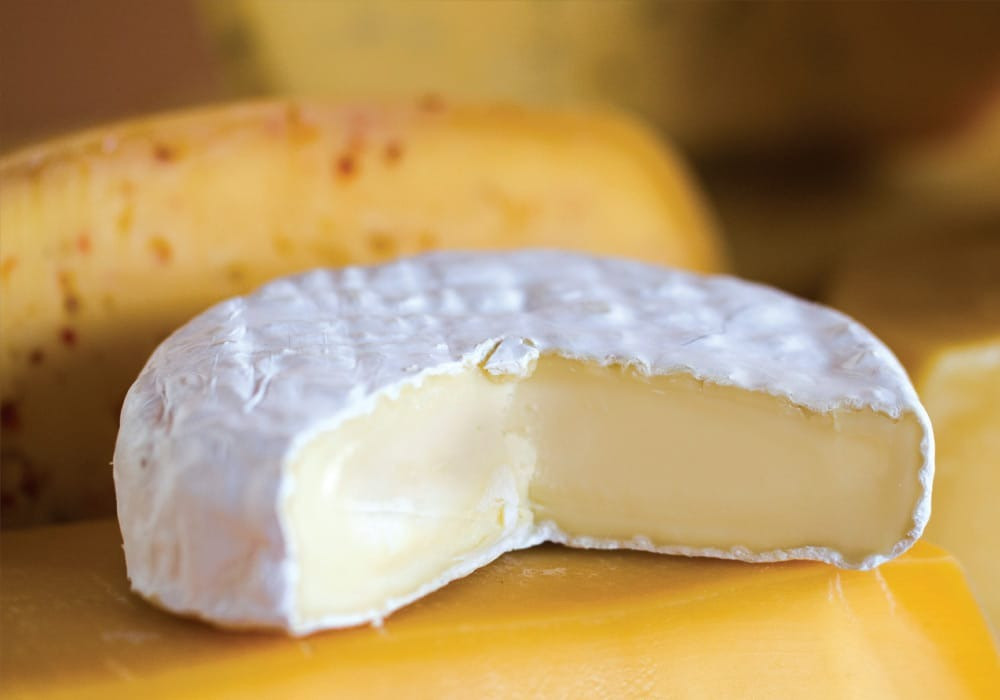 Queso Camembert