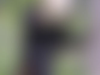 Bears & Bird Feeders: A November Reminder