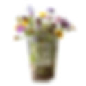 Plants and Pints: Rooted in Native Plants, Pouring for Clean Water