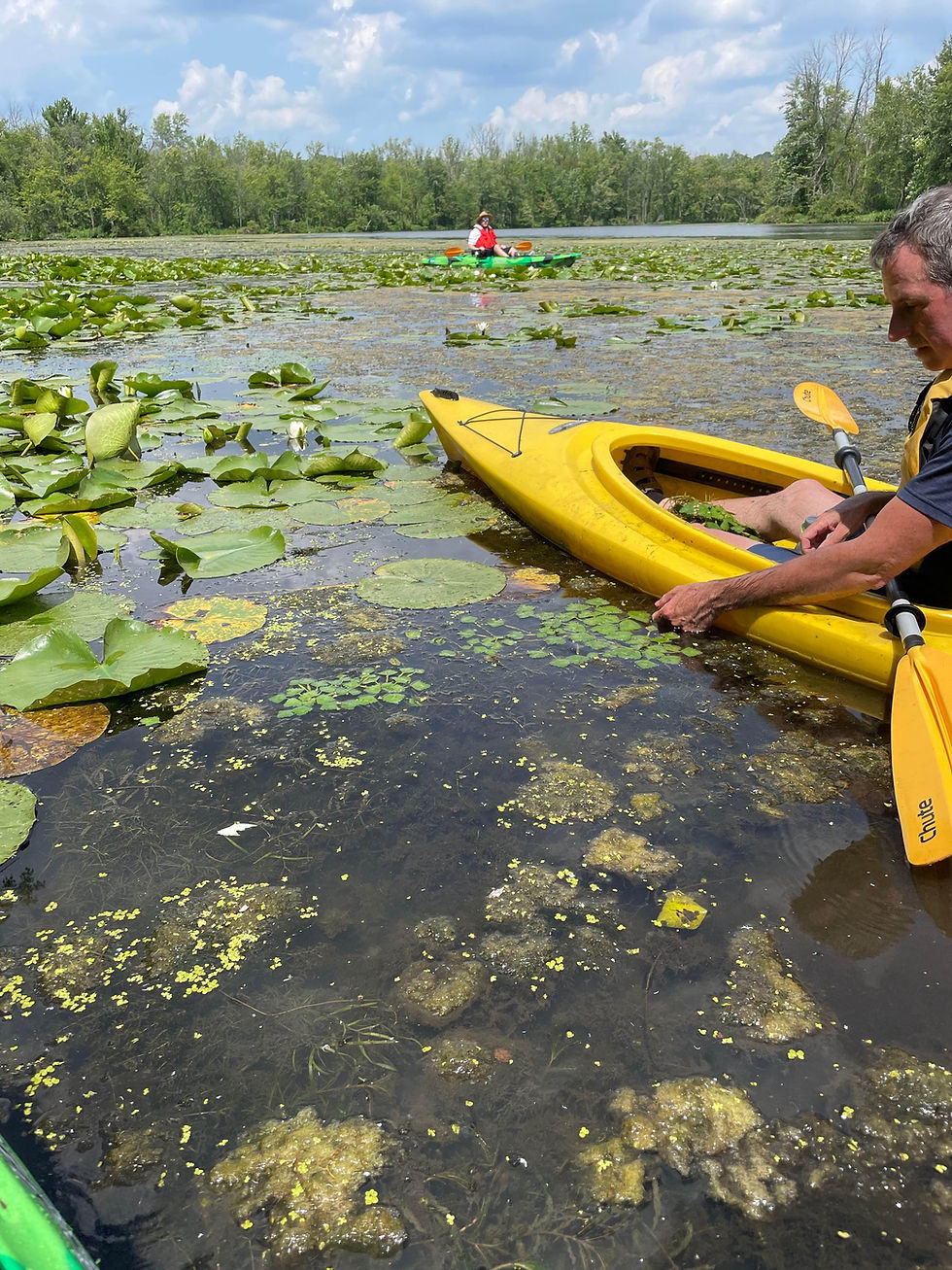 On-water Classroom: Water Chestnut Pull