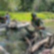Cassadaga Creek waterways hazard cleanup-4096.jpg