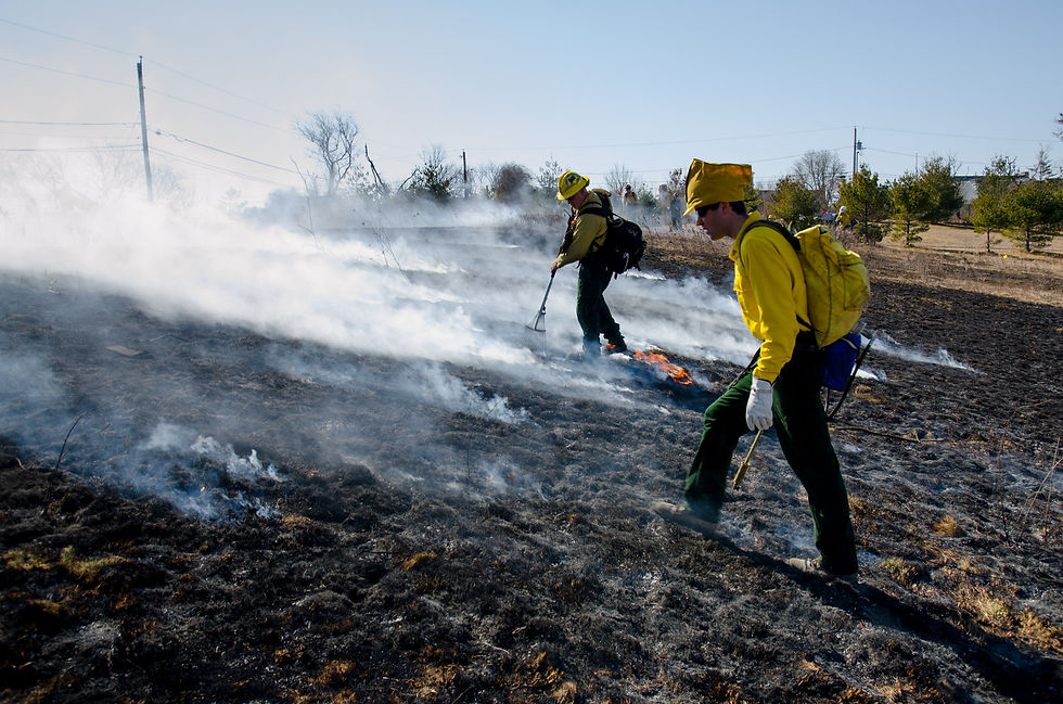 Two firefighters with firefighting equipment walking on smoldering ground, working to eliminate a wildfire.