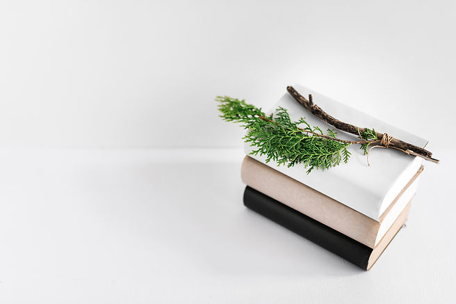 brindille-de-sapin-sur-une-pile-de-livres-sur-fond-blanc.jpg