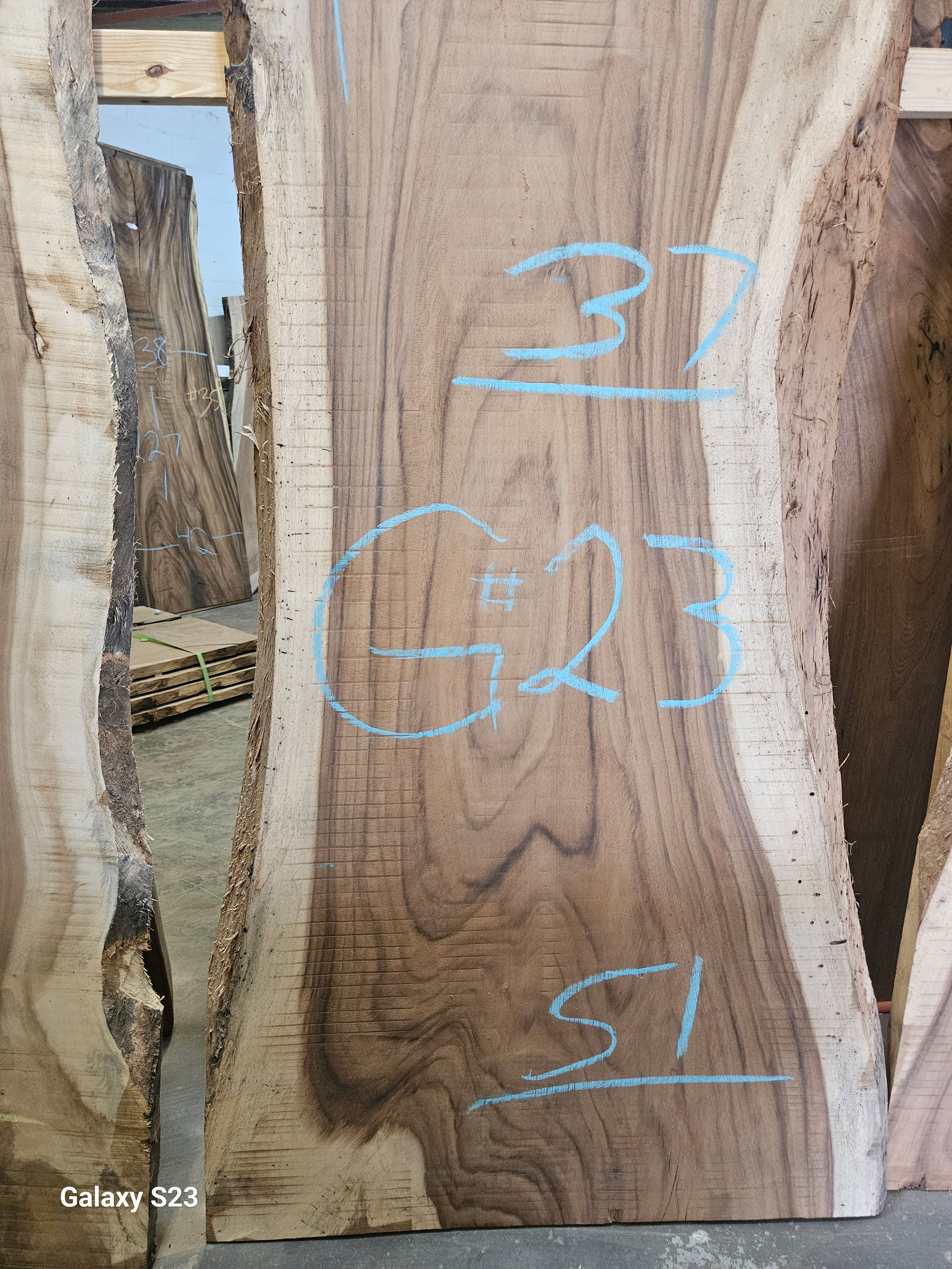 #66 Guanacaste Parota Slab 117"x51"x2"