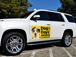Printed Vehicle Magnets