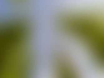 Three Silent Threats in the US Hops— and Why Sensor Data Alone Isn't Solving Them
