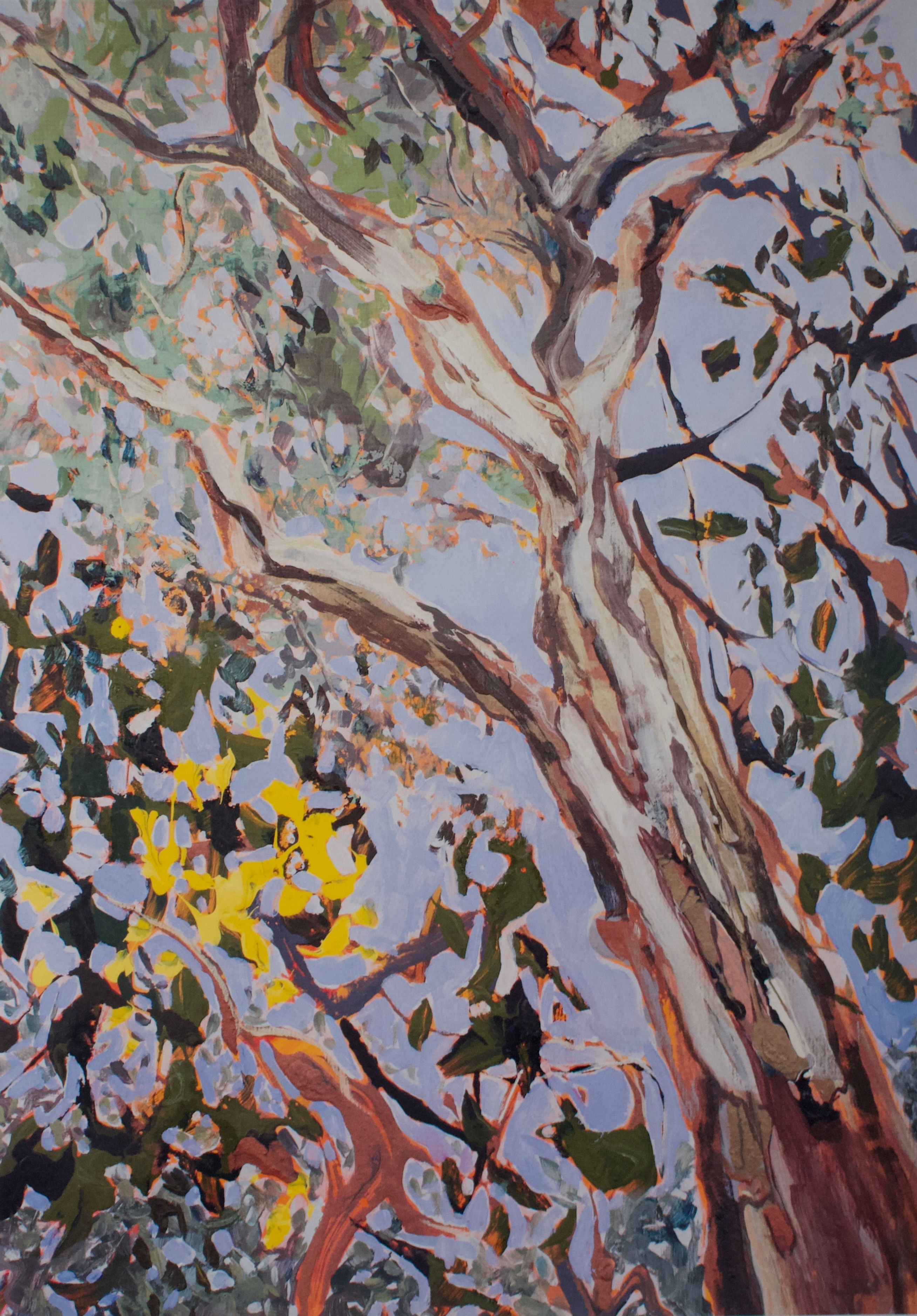 #34 Limited Edition Print