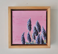 Pops of Colour Pink