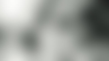 House To Vote On 'PUPPERS Act', Prohibiting Cruel VA Tax-Funded Dog Experiments