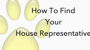 How To Find Your House Representative - NH