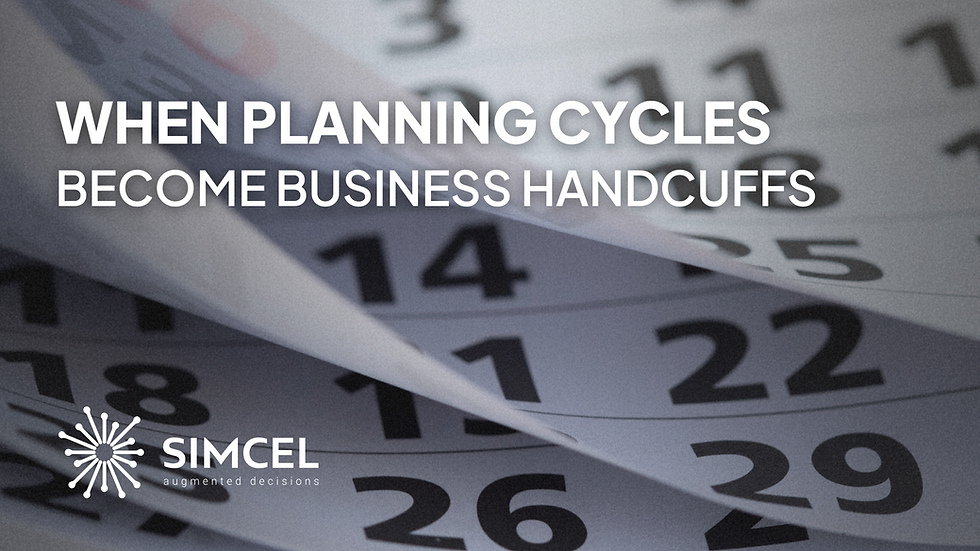 Planning Cycles SIMCEL