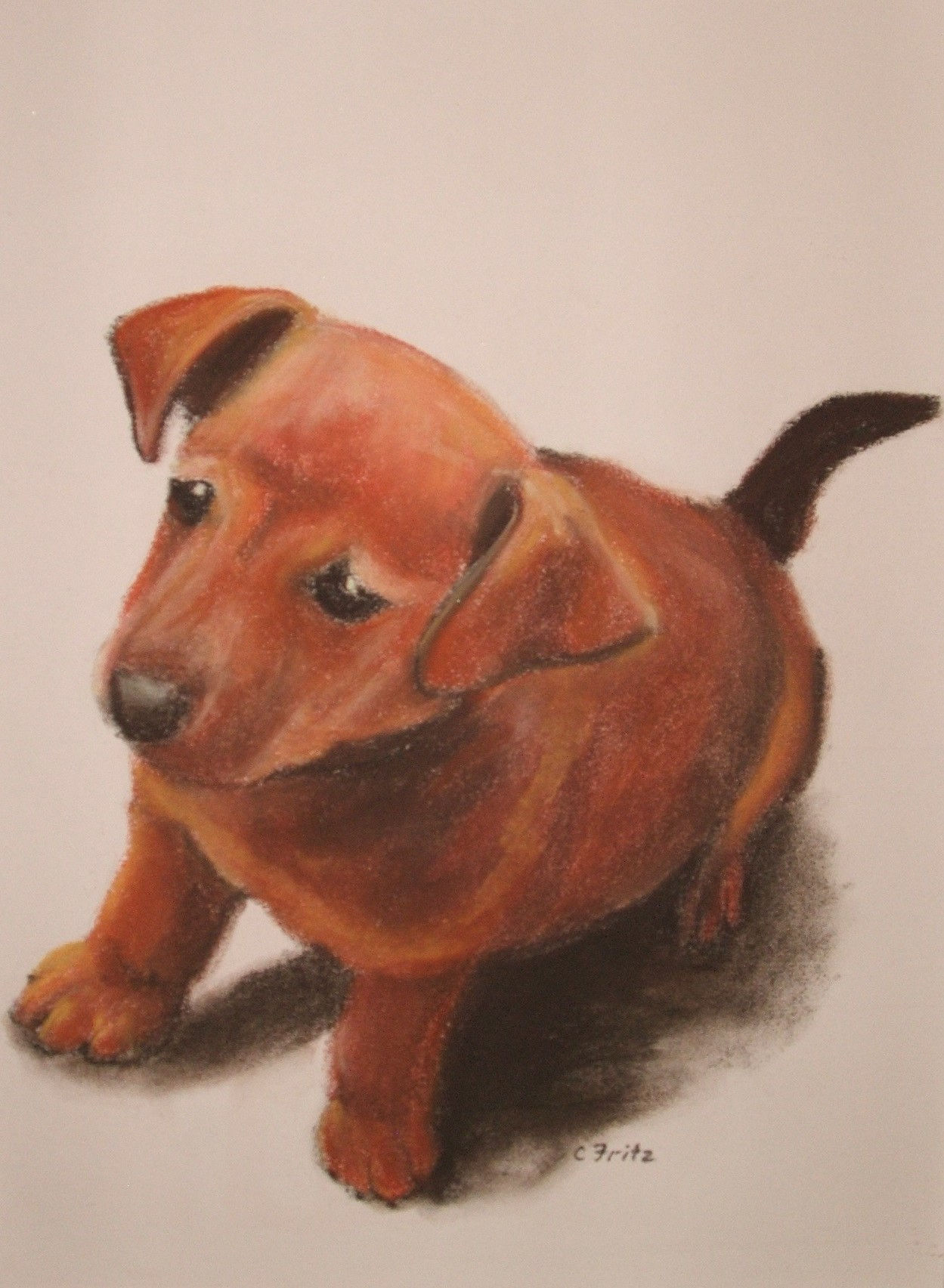 Puppy (pastel)