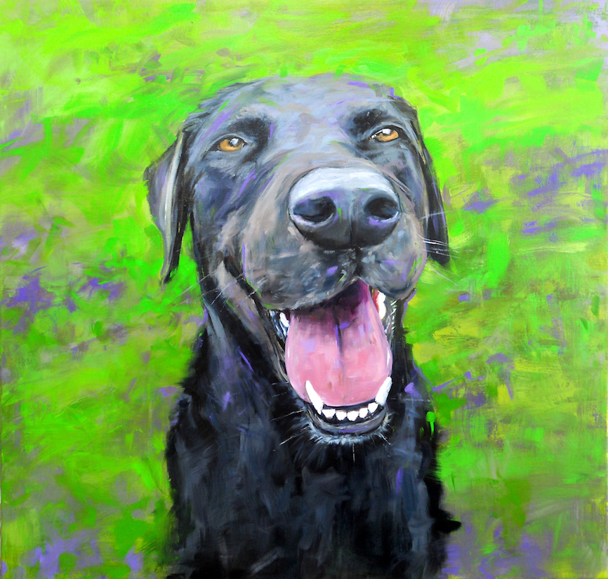 black lab