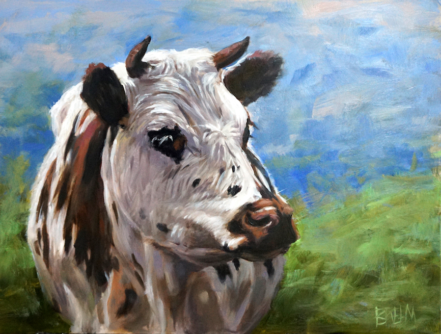 brown and white cow 01