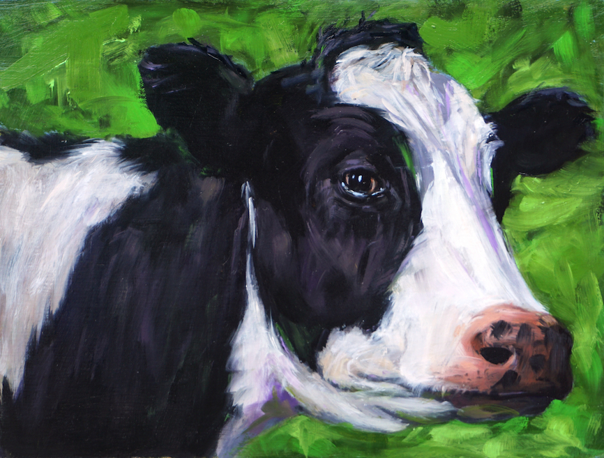 dairy cow 01