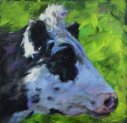 profile of a dairy cow 03