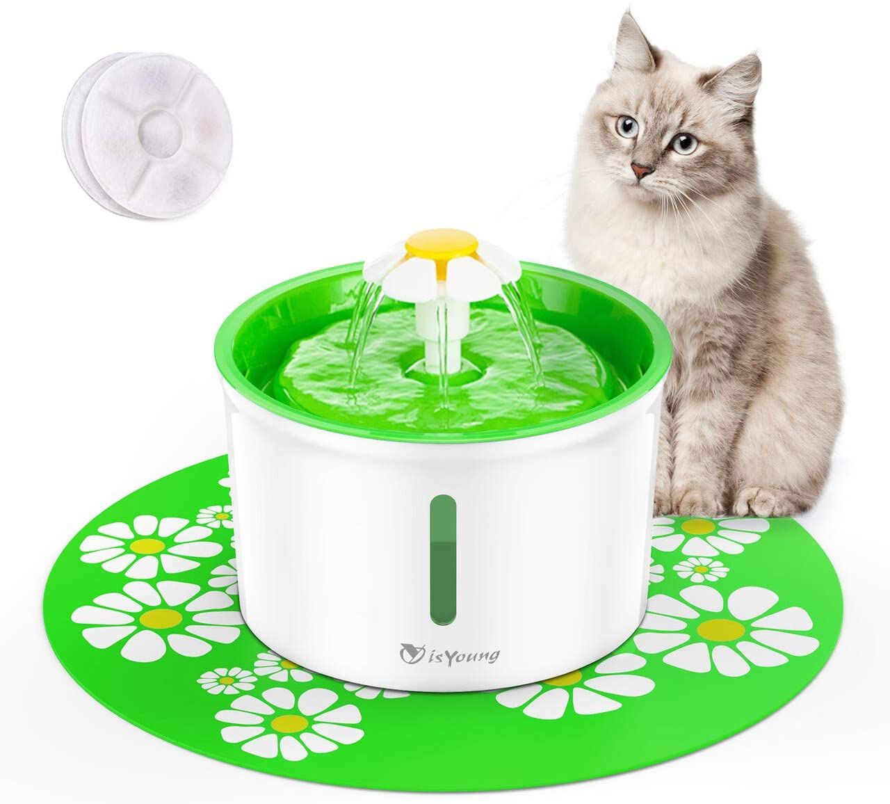 pet Fountain