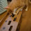 Thumbnail: Cat magical hamster box