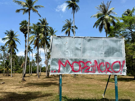 Photo of the Day – 43/365