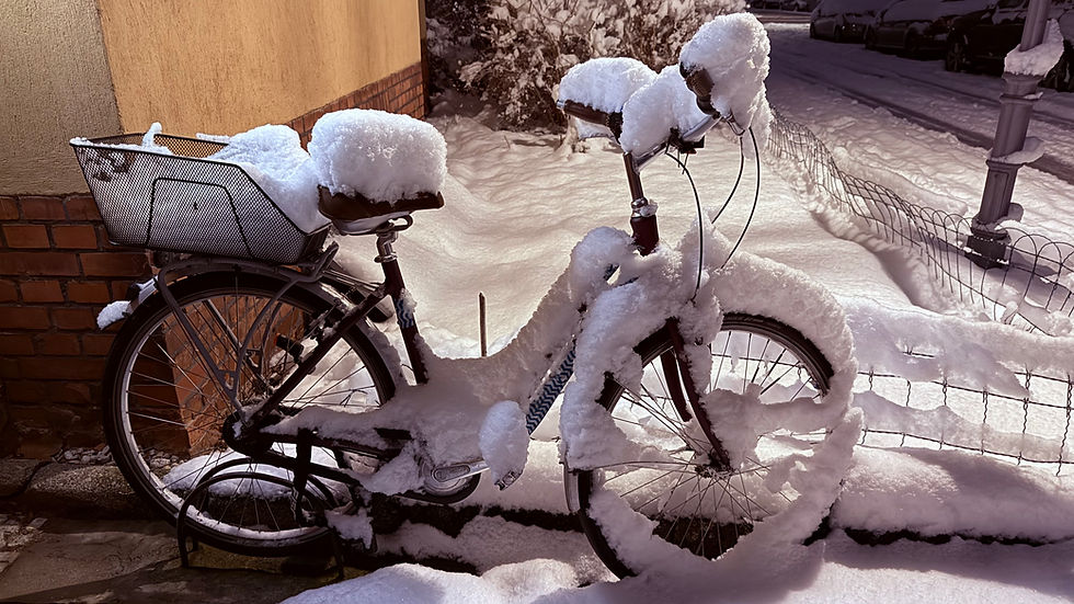 Ein zugeschneites Damenrad in Berlin