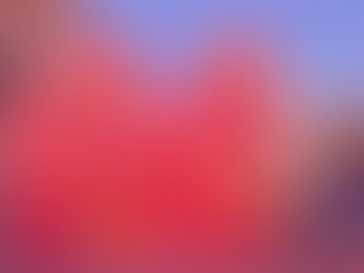 Photo of the day – 9/365