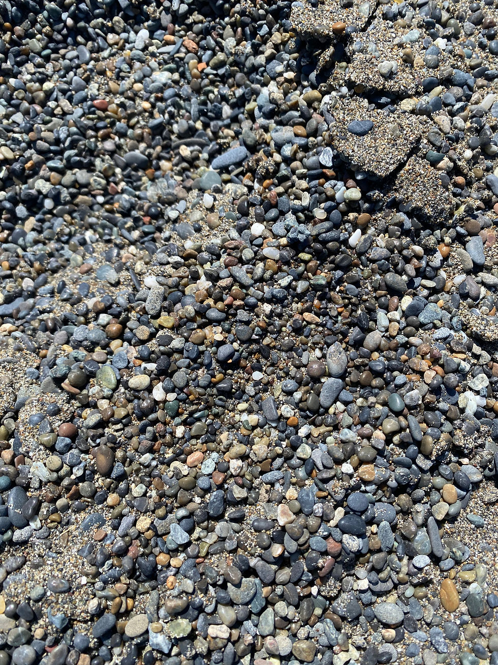 Gravel beds on Tseriadun State Recreation Area, Port Orford, OR