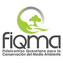 FIQMA