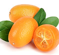 kumquats