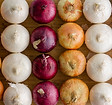 onions