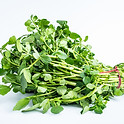 watercress