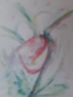 Frauenschuh, Aquarell, ca. 40x30cm