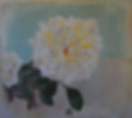 Rose, Öl auf Leinwand, ca. 70x 80 cm