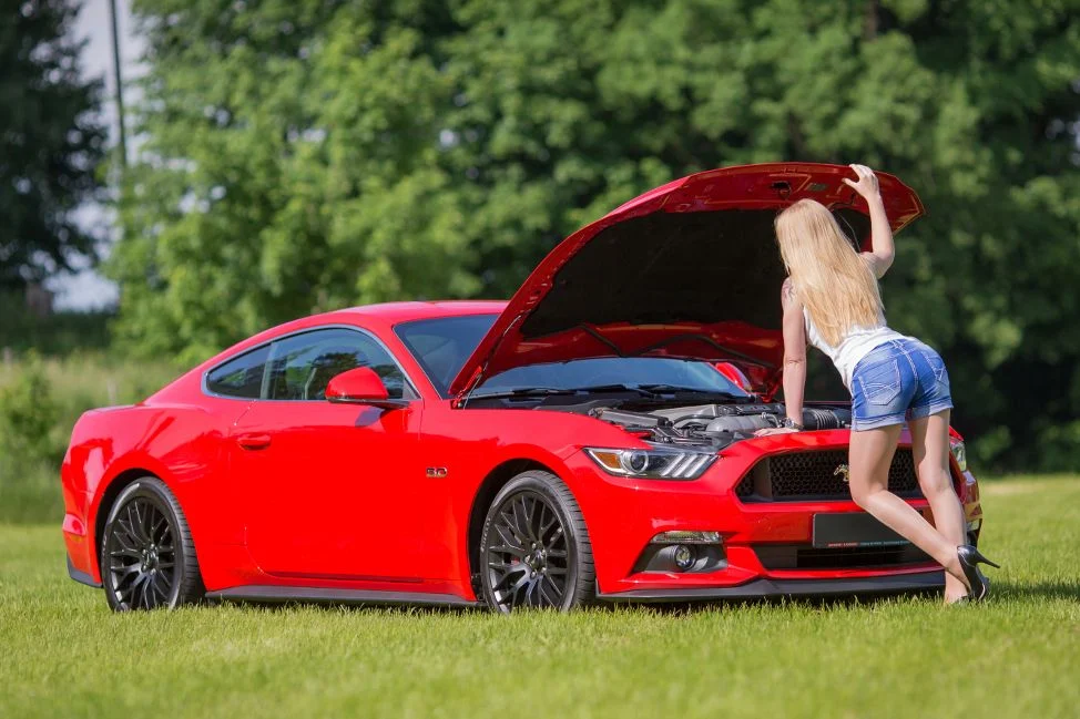 Mustang_Start.webp