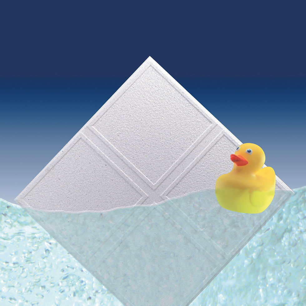 EUROSTONE DUCK