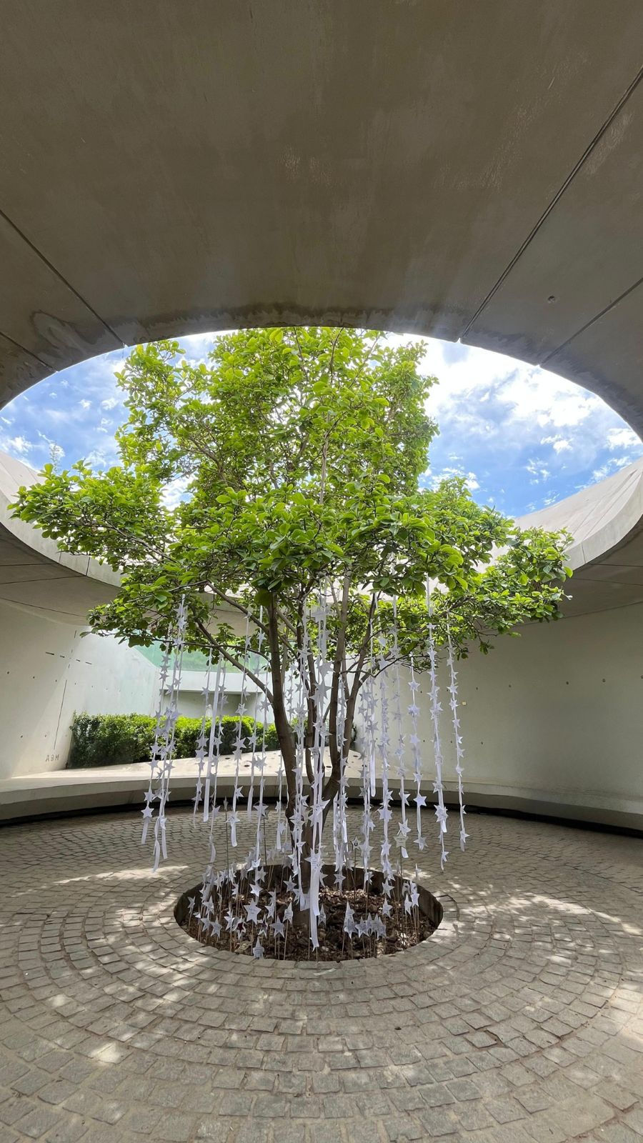 WhatsApp Image 2025-10-22 at 09.55.44 (1).jpeg