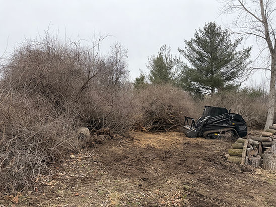 Clearing Land