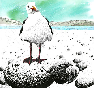 Black ink dot drawing of gull standing on pebbles on Aberdyfi beach with chips in its beak blank greetings card and prints