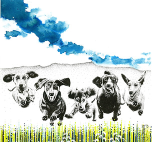 049 dashing dachshunds.jpg
