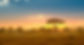 Landscape.jpg