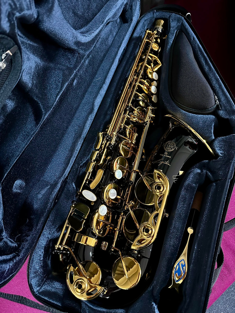 Miniature : Saxophone Signature Selmer Alto Noir