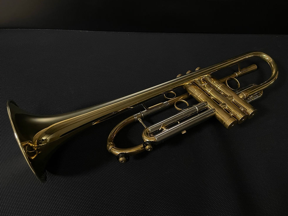 Miniature : Trompette AGAMI 125 Sib déverni