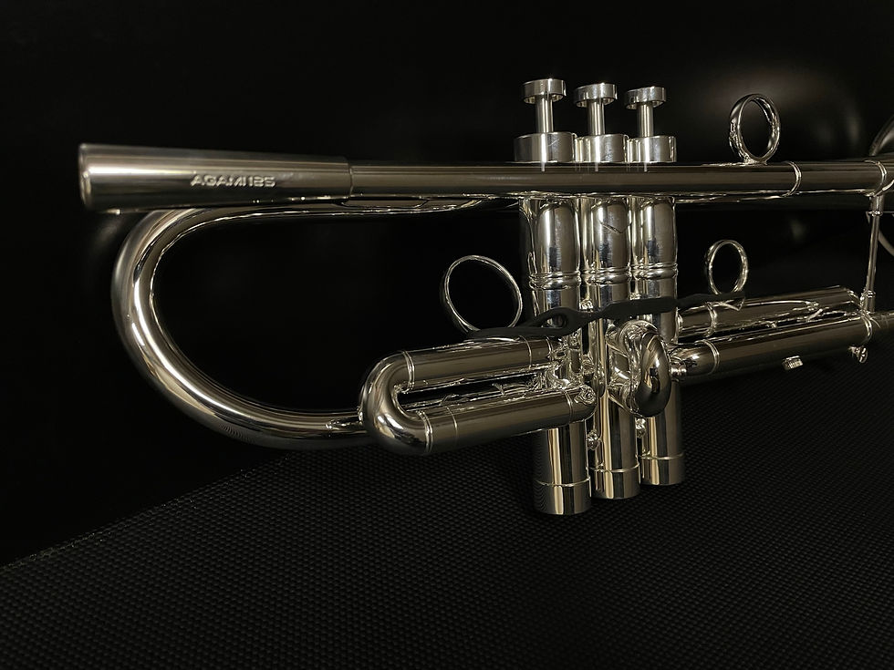 Miniature : Trompette AGAMI 125 Sib Arg