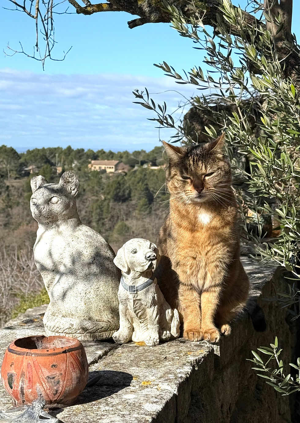 Fumbling through history