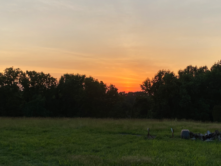 Sunsets and flowers